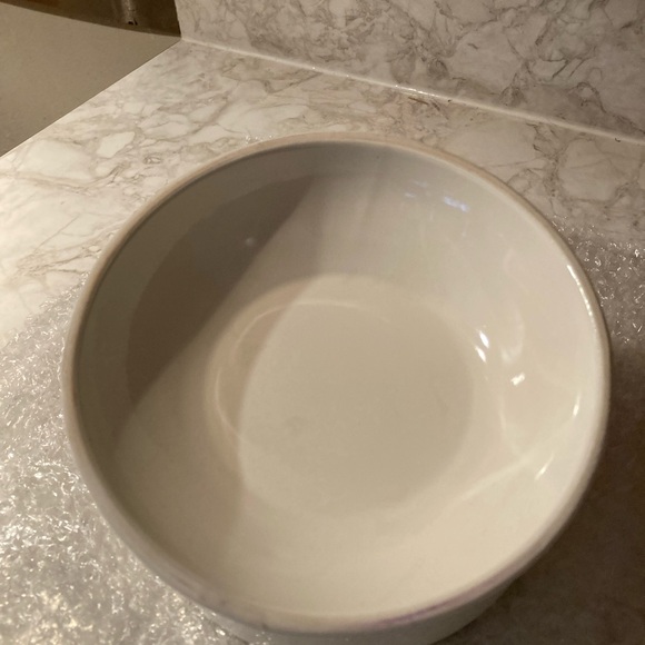 Double-Sided Ceramic
Elevated Cat Bowl - Picture 6 of 13